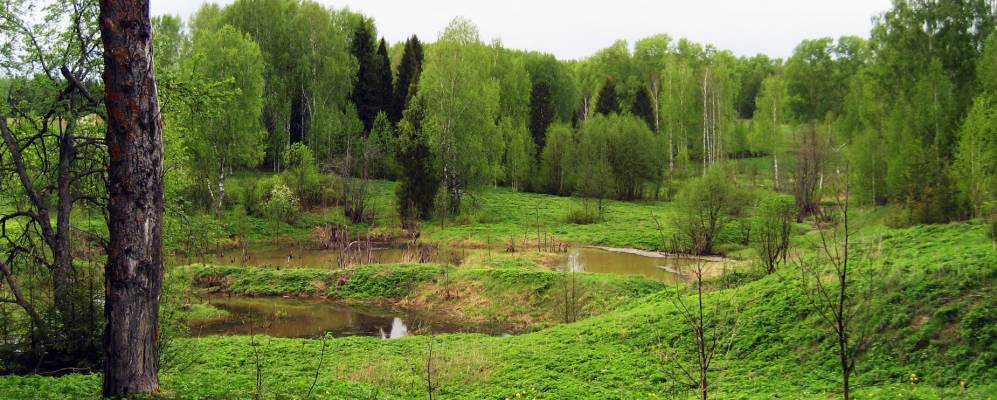 
            Фотография Пашков