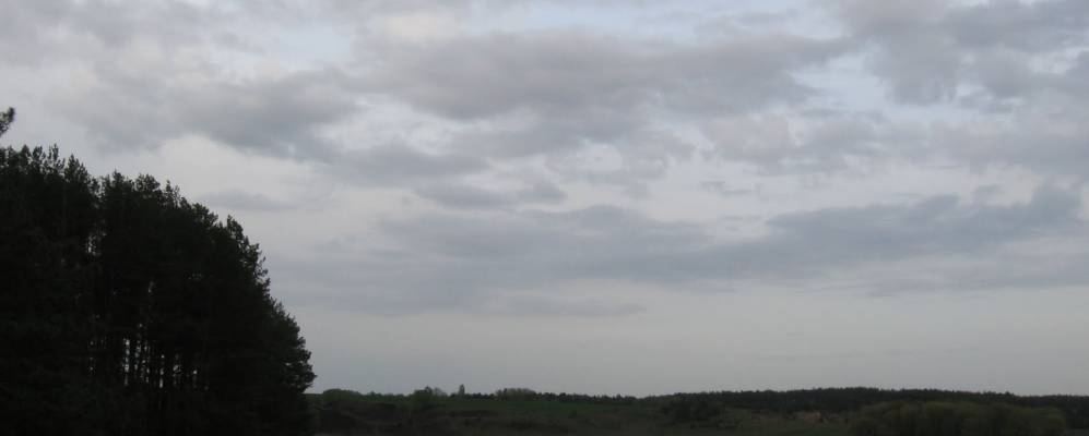 
            Фотография Логоватого