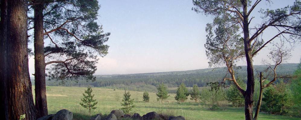 
            Фотография Скоробежево