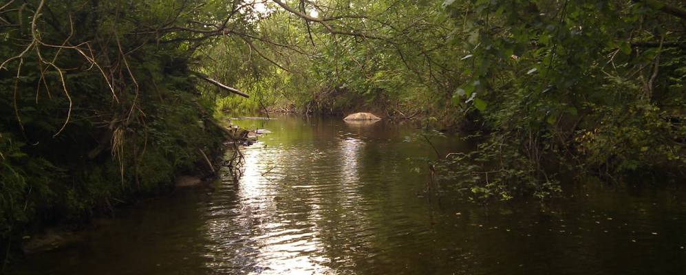 
            Фотография Рубежка