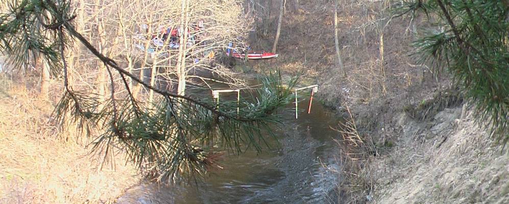 
            Фотография Прилепов