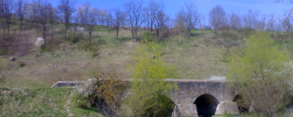 
            Фотография Лесковцы