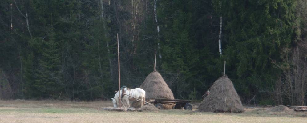 Фотография Тартака