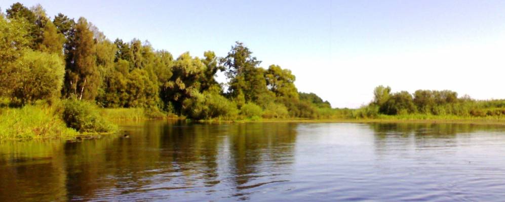 
            Фотография Песчанки