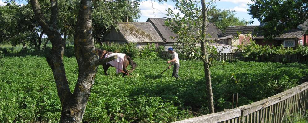 
            Фотография Заполья