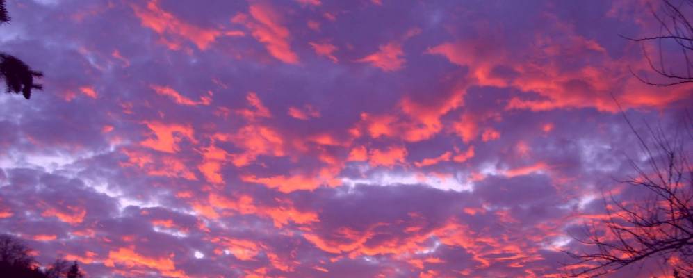 
            Фотография Волнат Гроува