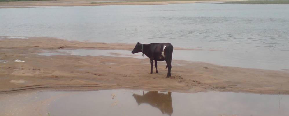 
            Фотография Оттаппалама