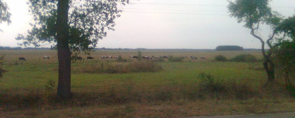 
            Фотография Хутора-Мокляки