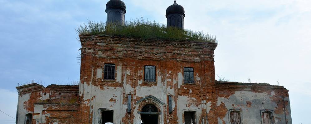 
            Фотография Травяного