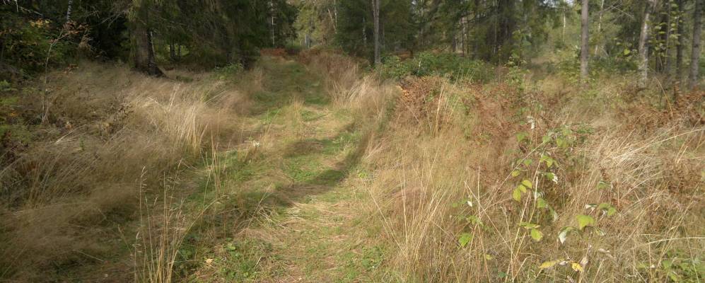 
            Фотография урочища Алиски