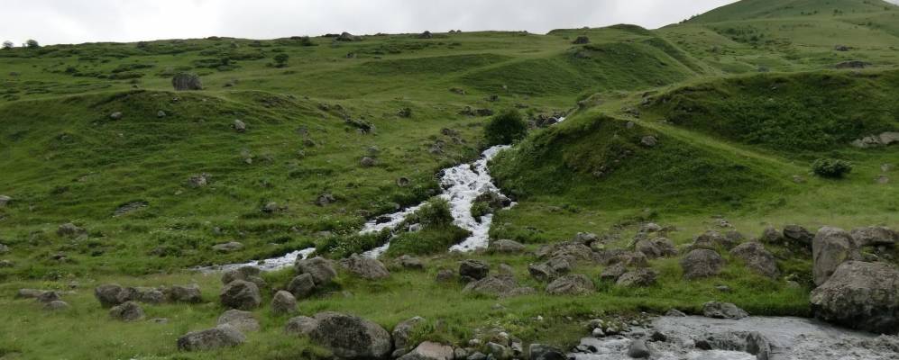 
            Фотография Какадура