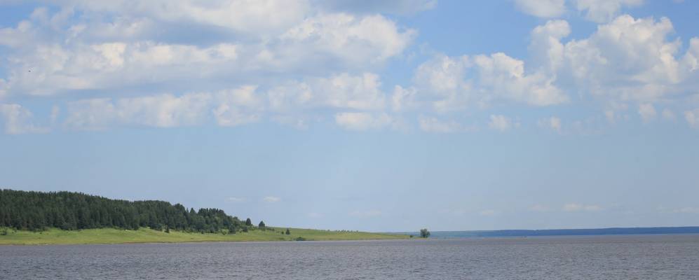 
            Фотография Максимяты