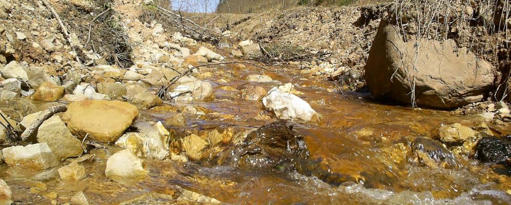 
            Фотография Слободы