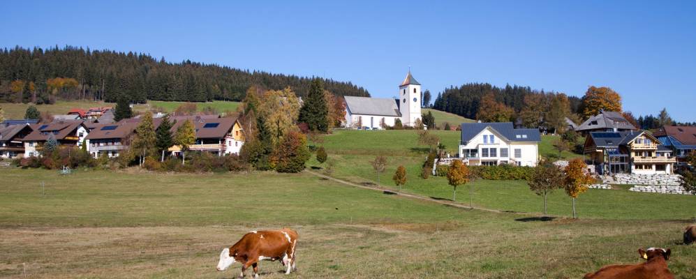 
            Фотография Брайтнау