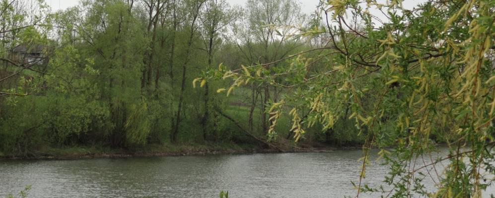 
            Фотография Хоминцы