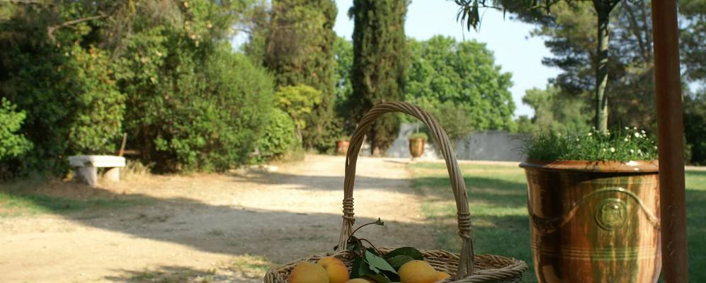 
            Фотография Жаку