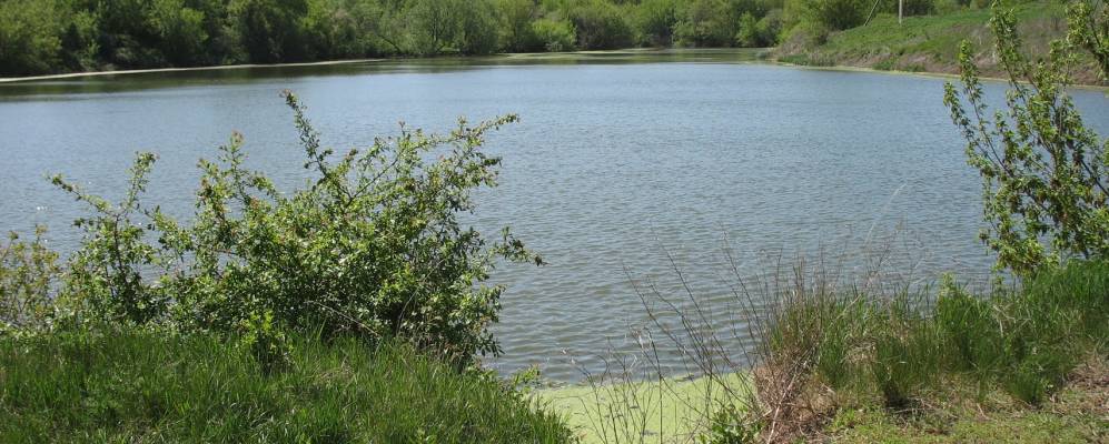 Фотография Ильичовки