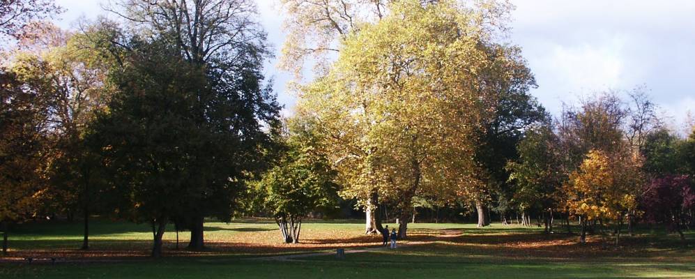 
            Фотография Боваллона