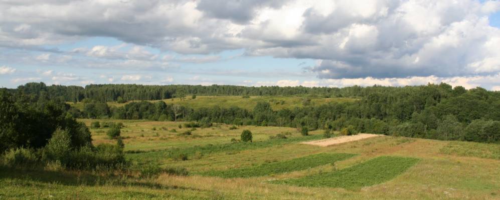 
            Фотография Андроново