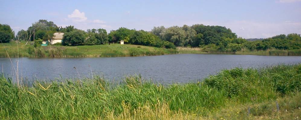 
            Фотография Уткина