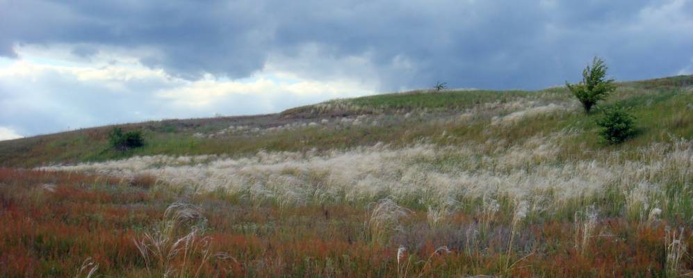 
            Фотография Стерляговки