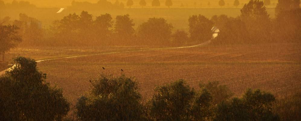 
            Фотография Хоххайм-на-Майне