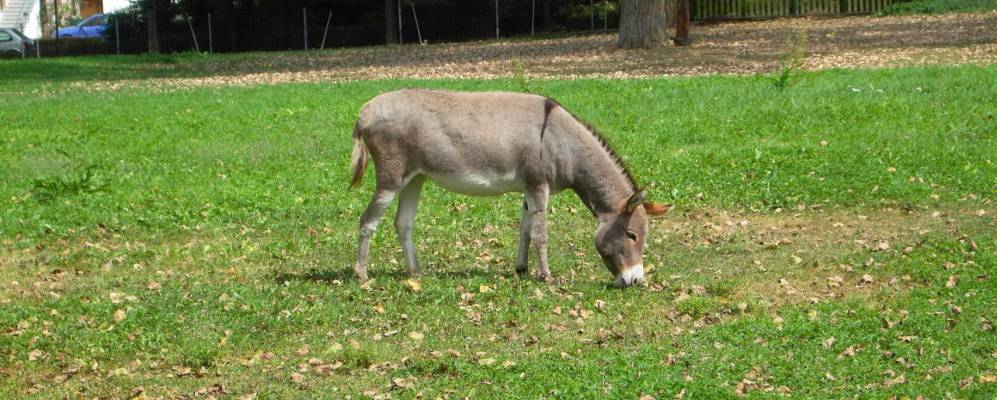 
            Фотография Мауера