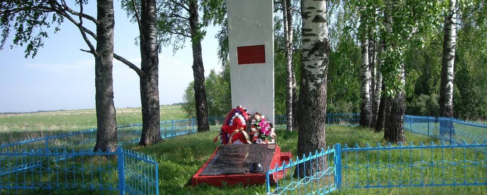 Фотография деревни Мишутки