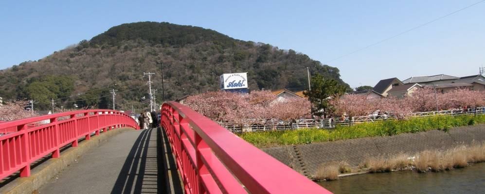 
            Фотография Кавадзу