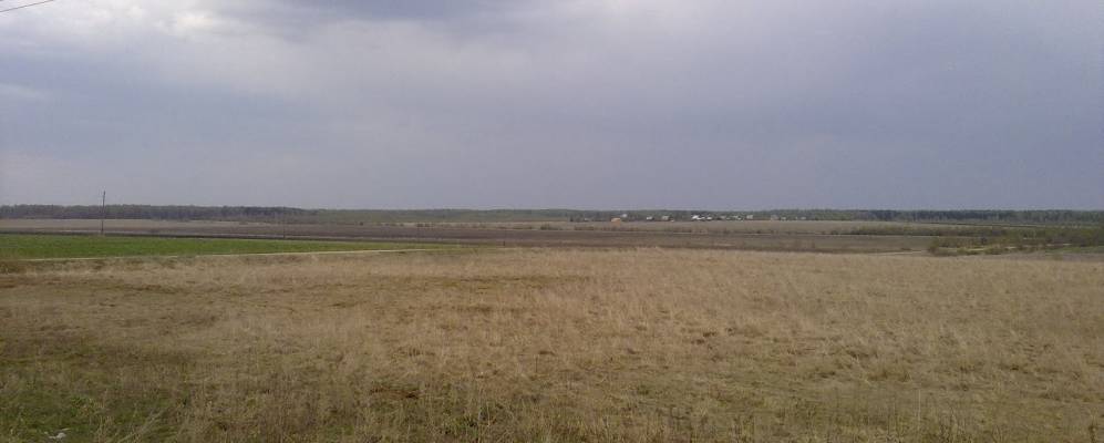 
            Фотография Павловского