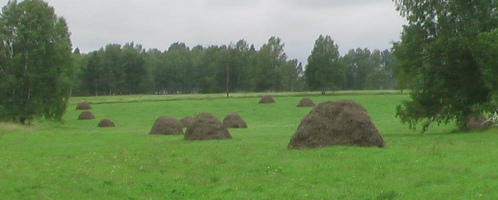 
            Фотография Орерков