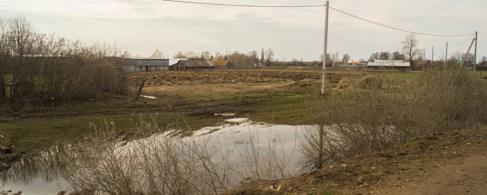 
            Фотография Наратлыка