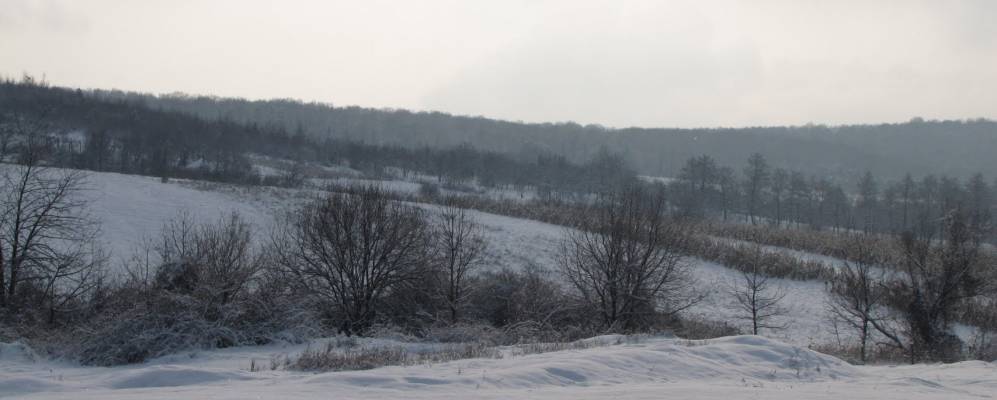 
            Фотография Лецовицы