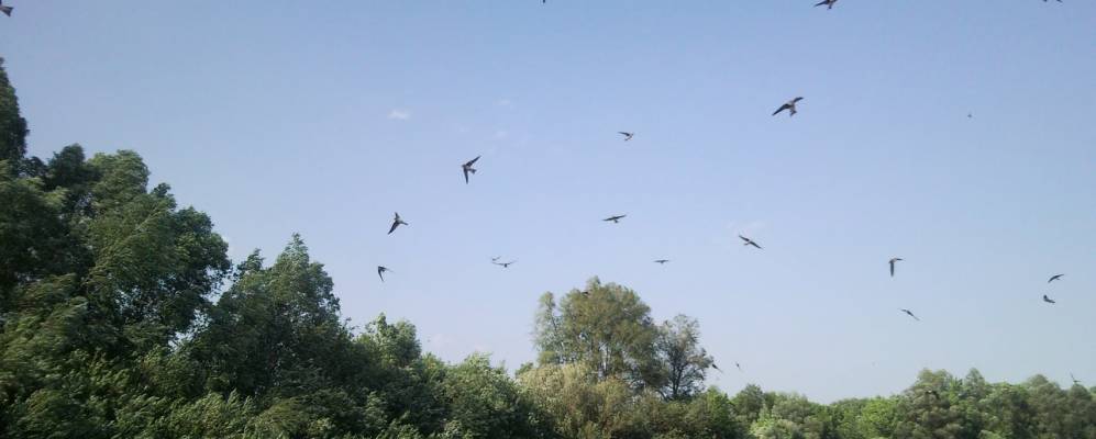 
            Фотография Суходоловки