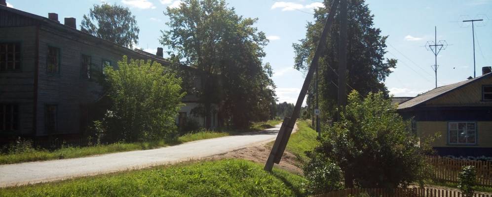 Фотография Мулов