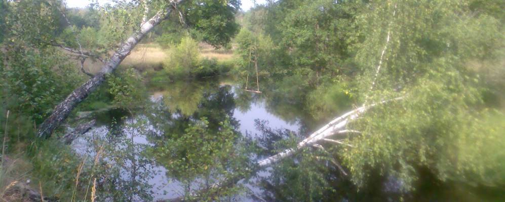 
            Фотография Сивцево