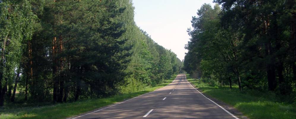 Фотография Лоски