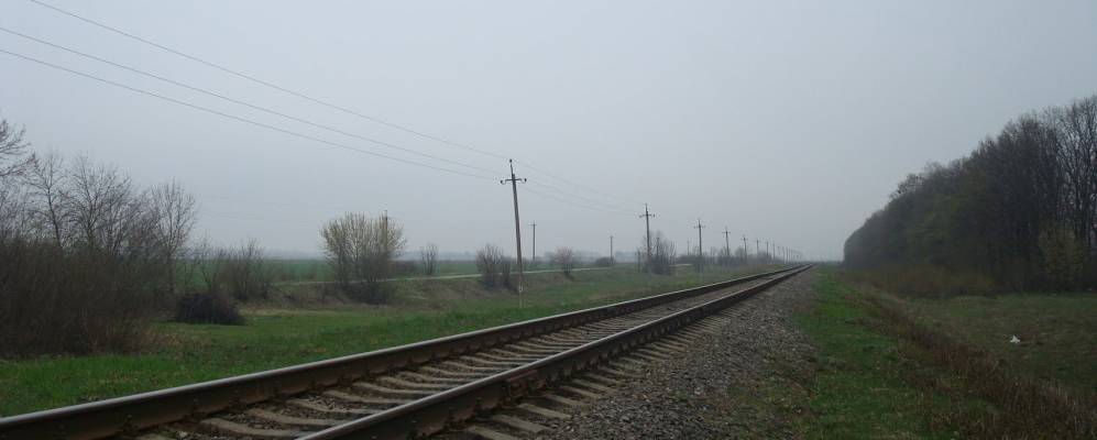 
            Фотография Пашковцев