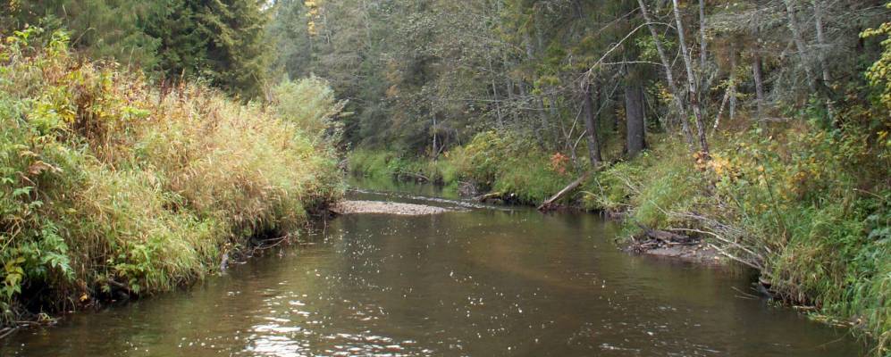 Фотография Скомовской
