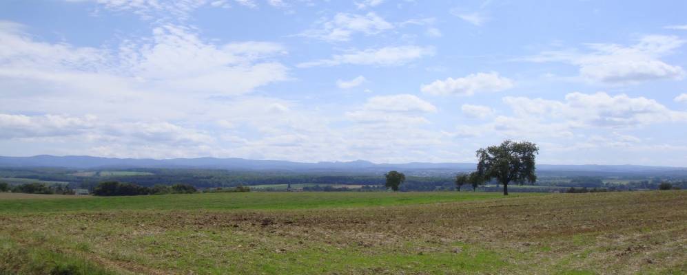 
            Фотография Редина