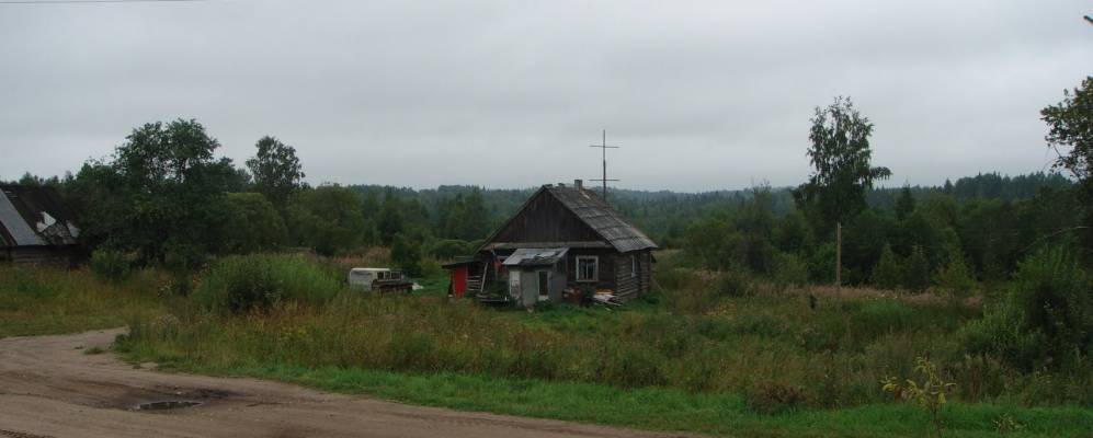 
            Фотография Песчанки