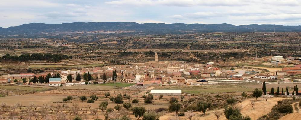 
            Фотография Torrecilla de Alcañiz