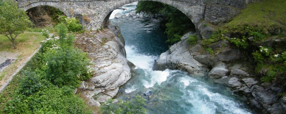 
            Фотография Понбозе