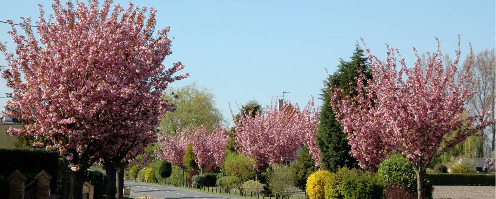 
            Фотография Бьерна