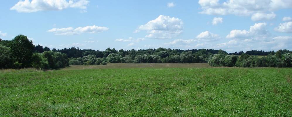 
            Фотография Малого Сырково