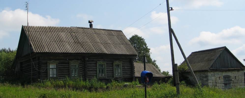 
            Фотография Жуковки