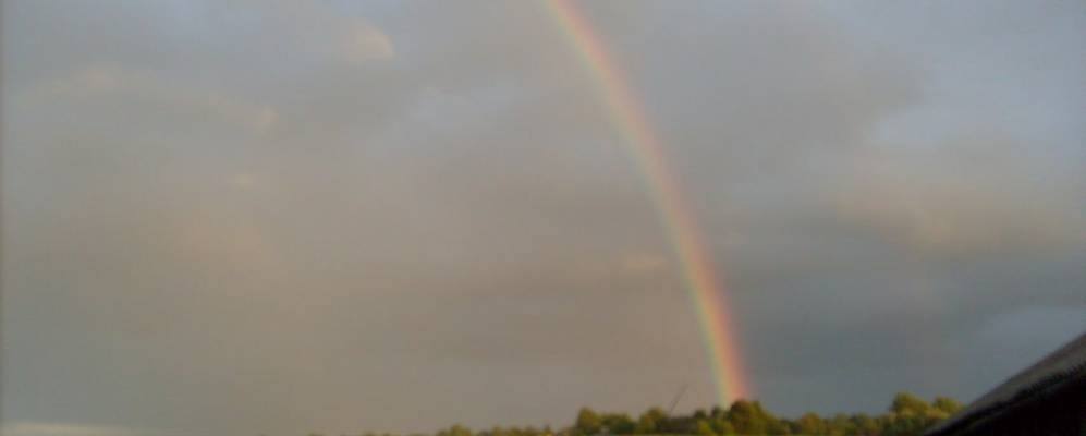 
            Фотография Ступницы