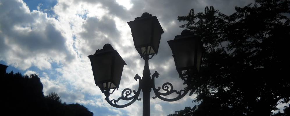 
            Фотография Ориоло