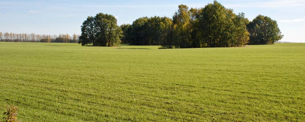 Фотография Горностаевки