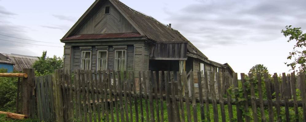 
            Фотография Новинок